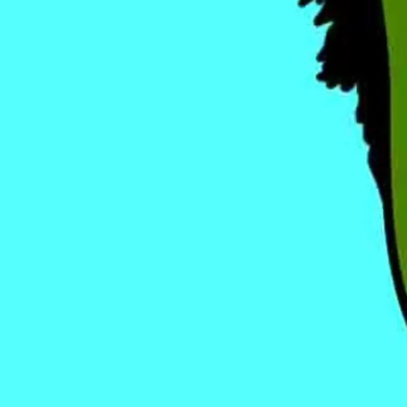 inscription 1ed2e2fe7cb3f71f9a79ce2eb8d5fd6b00d158ba7e974df756b5c182055b4322i0