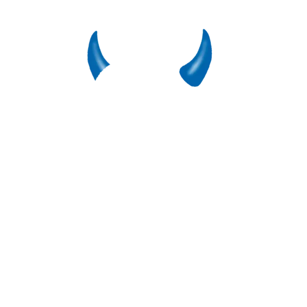 inscription 2e22a6a227dec0d1f15e5c0b63fc62cfdd666858b7eb24c40e90fb728c3140cfi14