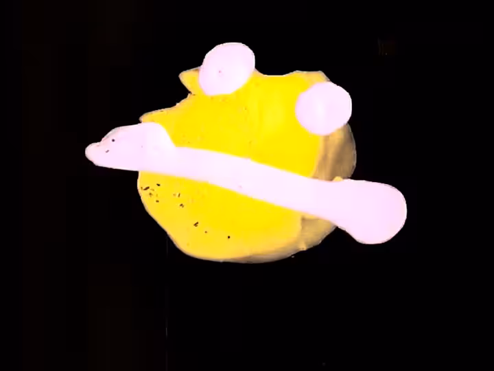 inscription 547fa32ad1c13d91bbbe4f4d6b3286912e2506db251d21ae63085cdcdd655692i5