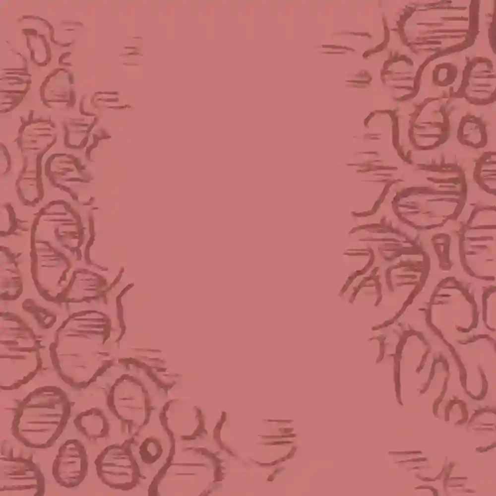 inscription 7f80fa1d6200e9eaa8bc80305e87c19ce7e5932a0fb17ca5d4bbf30d4b9b6753i10