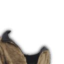 inscription 878330ef63b1f96bbaabc171952c4b5b53198d5d3521e1b3f543ef7f710381a8i12