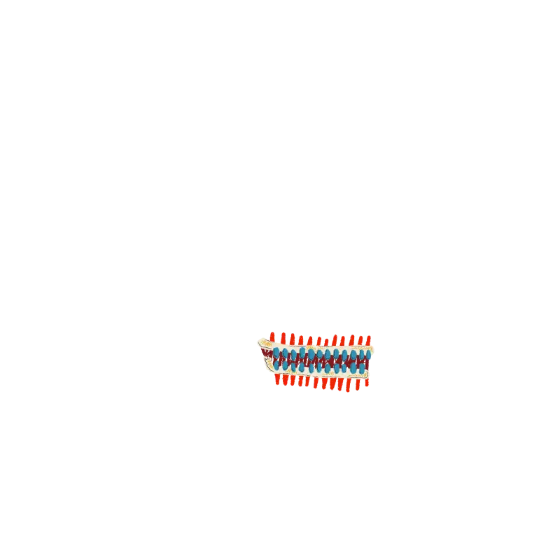 inscription 93e082d3613e297cf40edd642c23308d1dd9ba34d869e2e65e921e3de06df723i2