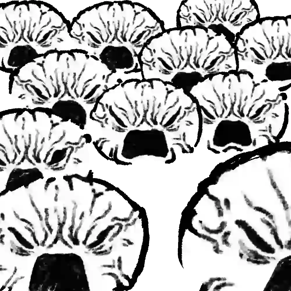 inscription a72060b160ae55d406c01a4760961b0f06e5b69d006dedd7c4194260ecf1e921i9