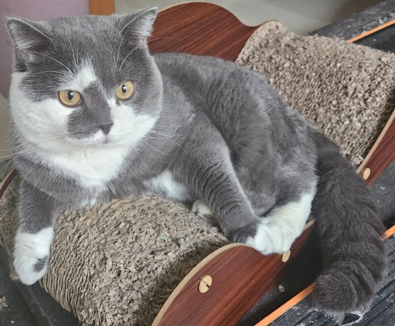 inscription e971523c3c5e75488638caab8b2b7fc9aa00a81e49a9c1c2ed2510309ceb97f9i0