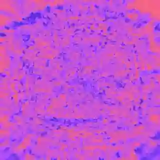 inscription ea9fb849ddefa1760d7b2bb6dbf45503133d65c53f65228093162363c1d0bd6ei0