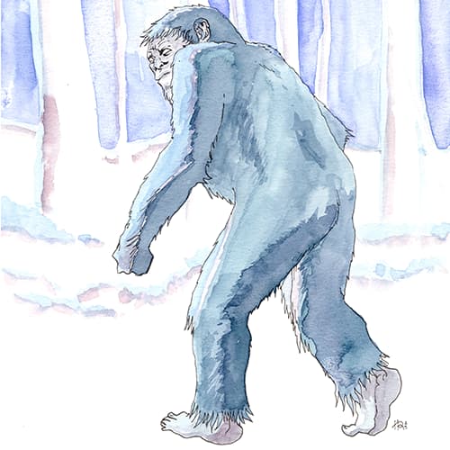 inscription f91474c990cd9b132353450f9fd16fcd1405ac3c07d5f67f7776c2775cc46fa9i0